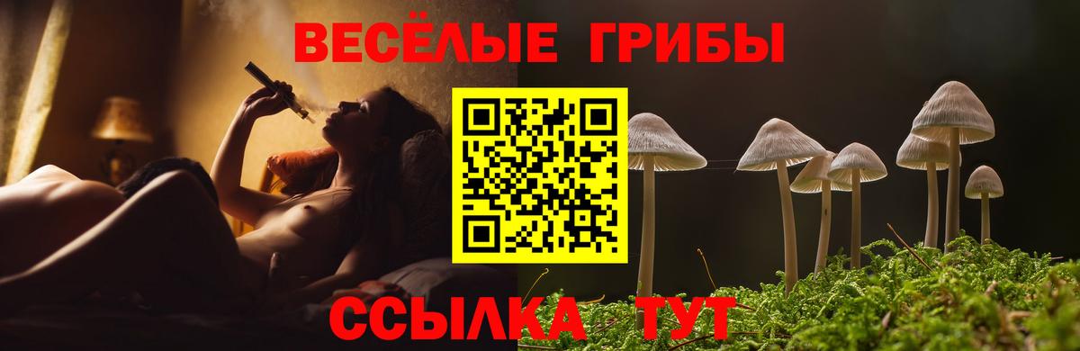 Галлюциногенные грибы GOLDEN TEACHER  Галлюциногенные грибы Psilocybine cubensis  Вход с VPN  Спасск-Дальний 